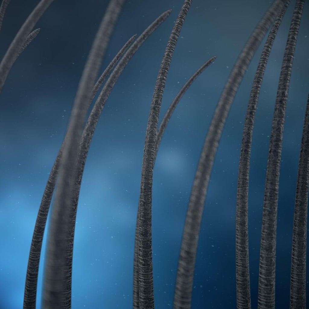 Reverse - Hair Growth Serum