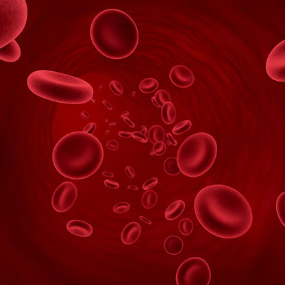 Reverse - Hair Growth Serum