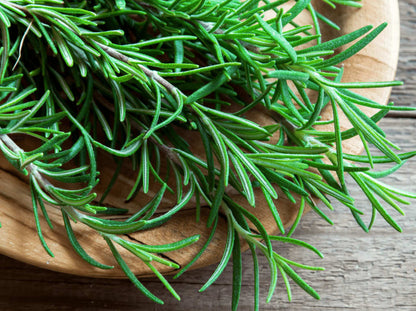 Reverse - Hair Growth Serum